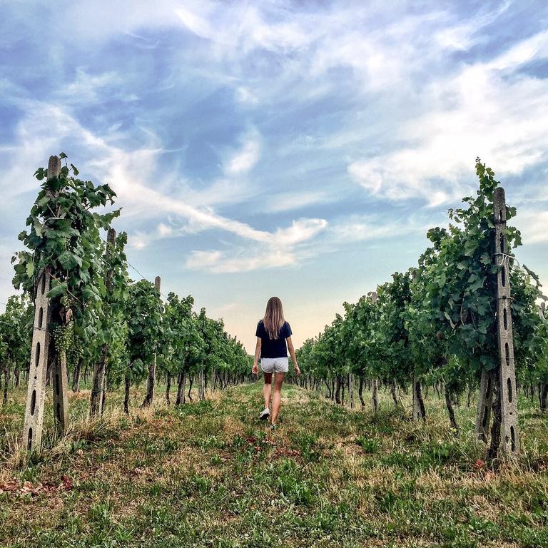 Agriturismo Scribano Villa Prepotto  Eksteriør bilde